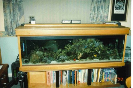 reef.jpg