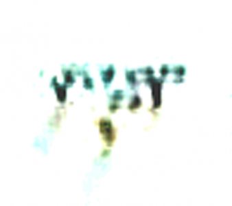 flyout10.jpg