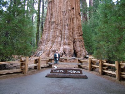 general_sherman.jpg