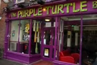 Reading - 13 January 2009 - Purple Turtle.jpg