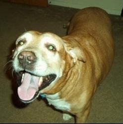 snuf.jpg