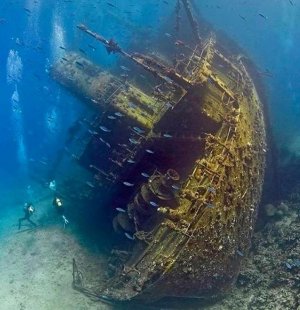 Giannis D, Shhab Abu Nuhas reef.jpg