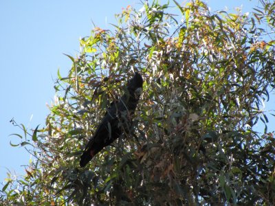 IMG_0041.jpg