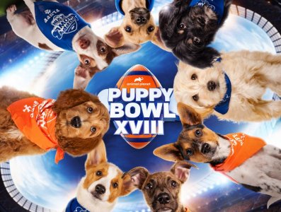 PuppyBowl2022.jpg