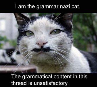grammarcat.jpg