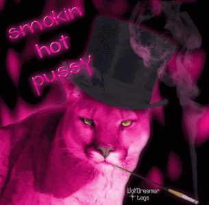 funny16.gif