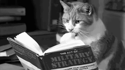 CatReadingMilitaryBook.gif