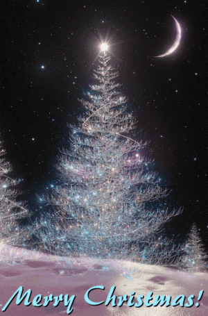 Merry Christmas.gif