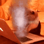 fast-cat-typing keyboard fire.gif