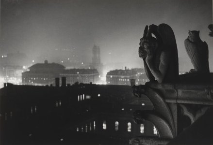 brassai-gyula-halasz_paris-vu-de-notre-dame.jpeg