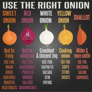 onion chart.95.jpg