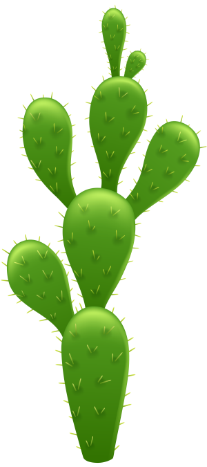 Cactus_Transparent_PNG_Clip_Art_Image scaled down.png