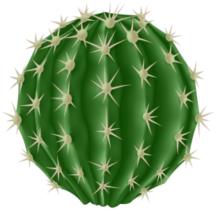 Round_Cactus_PNG_Clipart scaled down.png