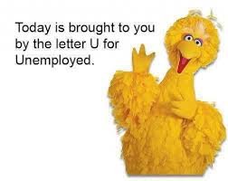 big bird pics.jpg