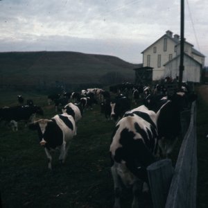 082 - Copy.jpg