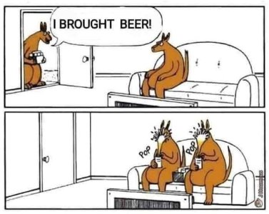 beer.jpg