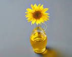 Is Sunflower Oil Healthy? Dietitians Explain