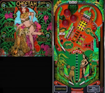16-9 cheetah_nrG.jpg