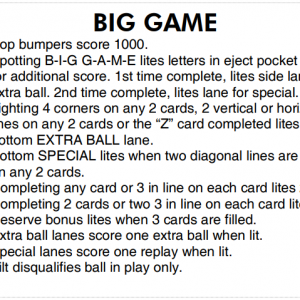 Big Game (Stern, 1980) Instruction Card